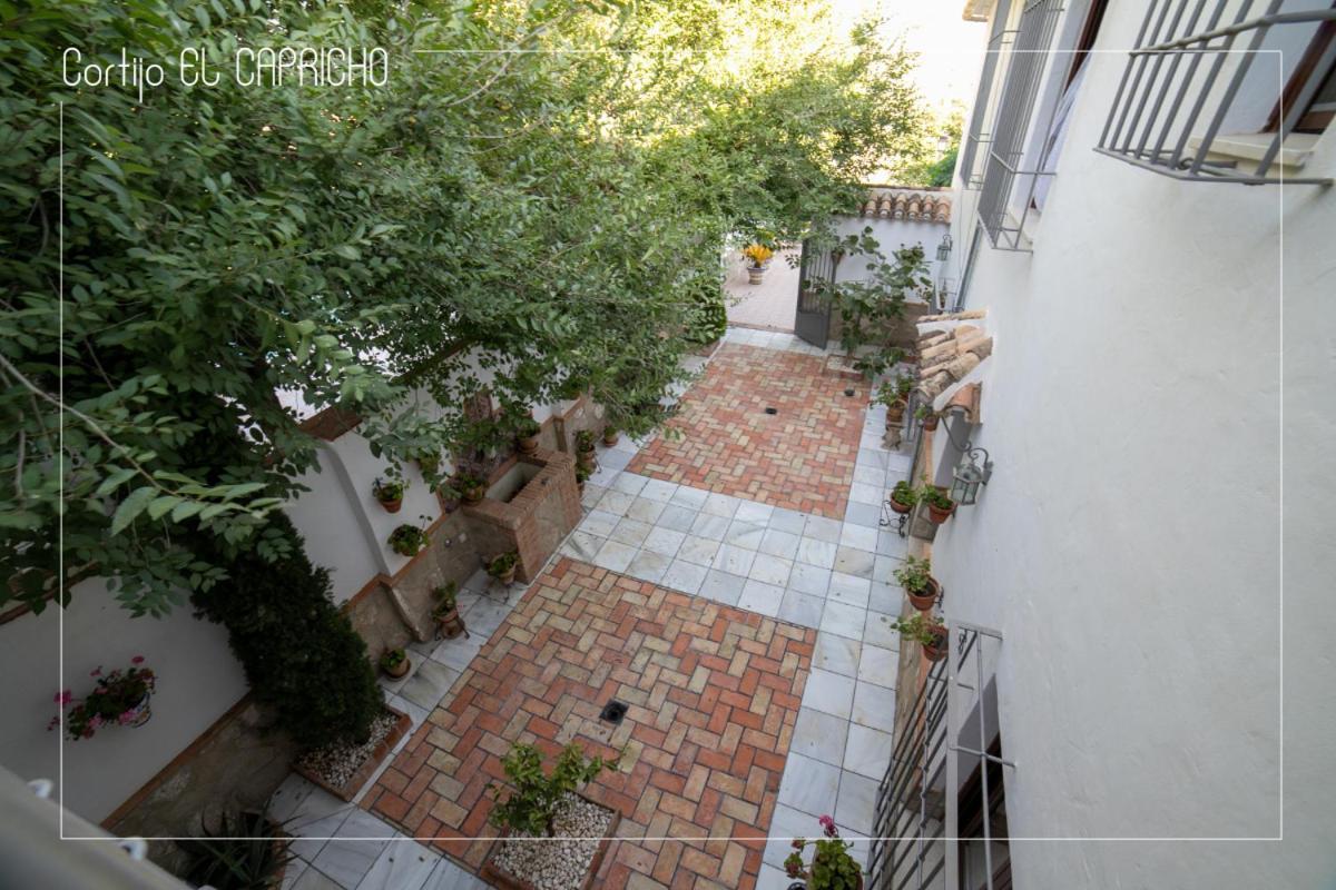 فيلا Cortijo El Segador Y El Capricho Almedinilla المظهر الخارجي الصورة