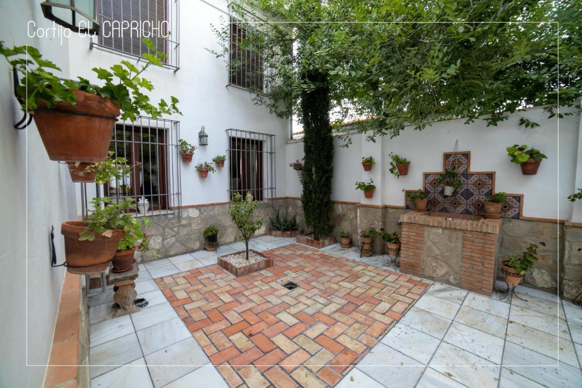 فيلا Cortijo El Segador Y El Capricho Almedinilla المظهر الخارجي الصورة